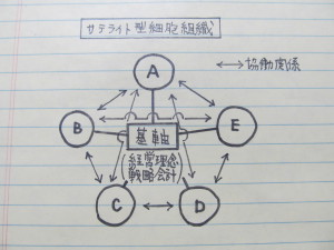 サテライト型組織